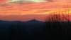 _070728_small.jpg