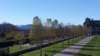 _135533_small.jpg