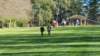 _135619_small.jpg