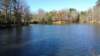 _142432_small.jpg