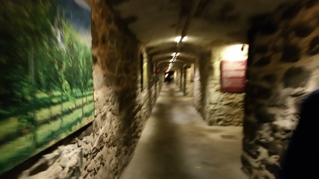 _153617.jpg