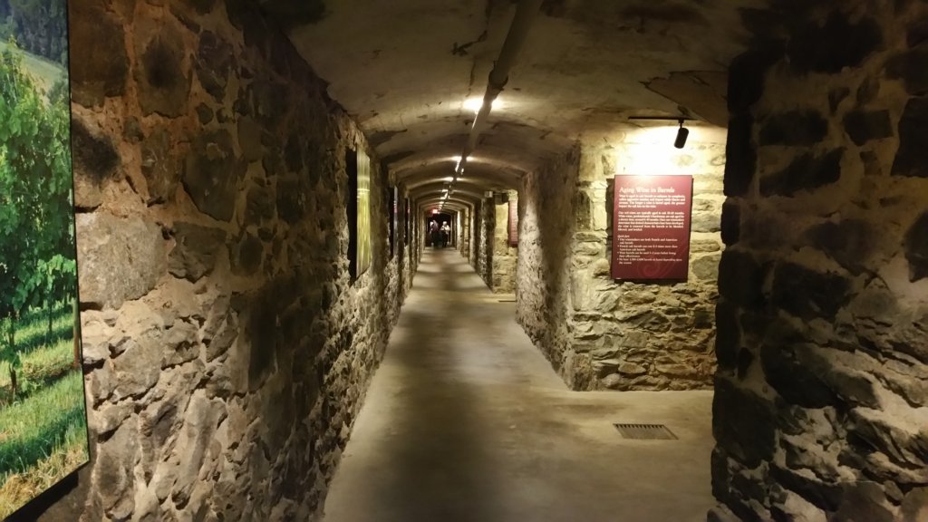 _153620.jpg