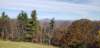 _105509_small.jpg