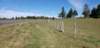 _125959_small.jpg