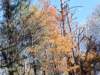 img_20251101_124041187_small.jpg
