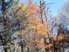 img_20251101_124042689_small.jpg