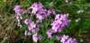 _084258_small.jpg