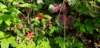 _085314_small.jpg