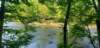 _085530_small.jpg