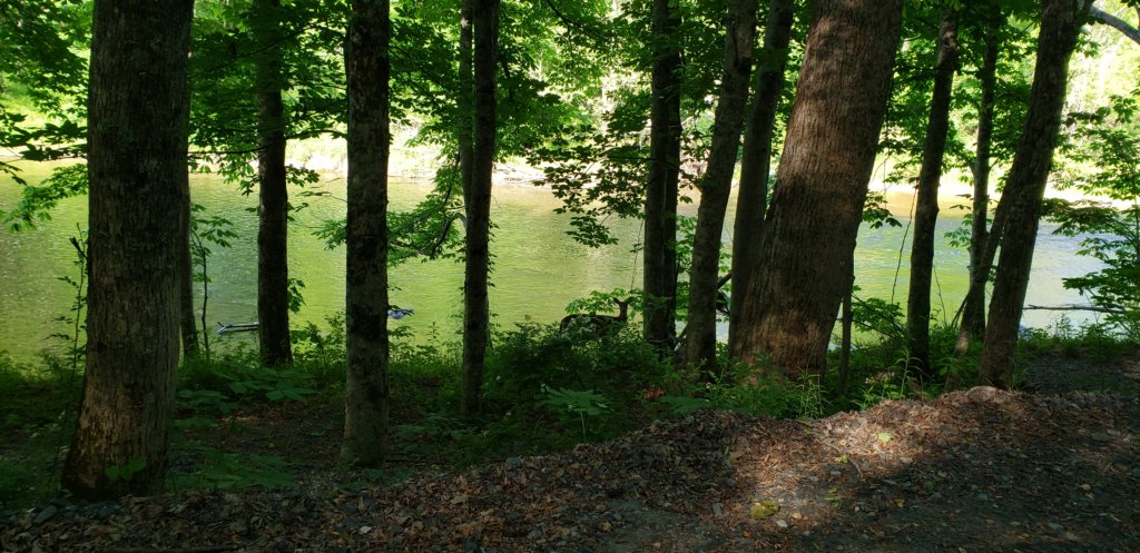 _085937.jpg