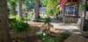 _090225_small.jpg