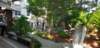 _090244_small.jpg