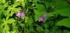 _091701_small.jpg
