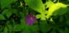 _091719_small.jpg