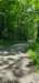 _125729_small.jpg