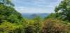 _132536_small.jpg