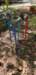 _161049_small.jpg
