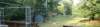 _183528_small.jpg