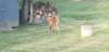 _183541_small.jpg