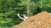 _125826_small.jpg