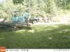 ek000051_small.jpg