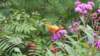 _124752_small.jpg