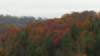 _135324_small.jpg