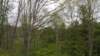 _142755_small.jpg