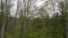 _142802_small.jpg