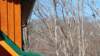 _143809_small.jpg