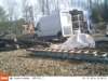 ek000194_small.jpg