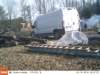 ek000234_small.jpg