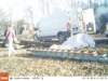 ek000250_small.jpg