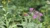 _124606_small.jpg