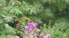 _124706_small.jpg