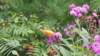 _124754_small.jpg