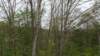 _142742_small.jpg
