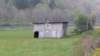 _184654_small.jpg