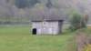 _184658_small.jpg