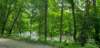 _110310_small.jpg