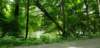 _110315_small.jpg