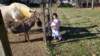 _102840_small.jpg