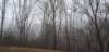 _170335_small.jpg
