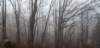 _170425_small.jpg