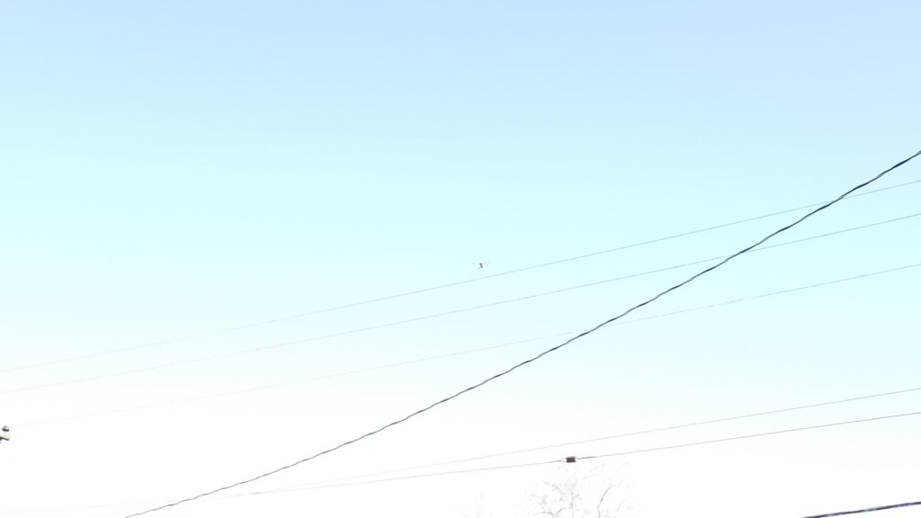 _103324.jpg