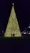 _222756_small.jpg