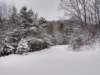 img_20201225_122249853_hdr_small.jpg