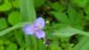 _095404_small.jpg
