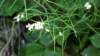 _095849_small.jpg