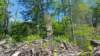 _102730_small.jpg